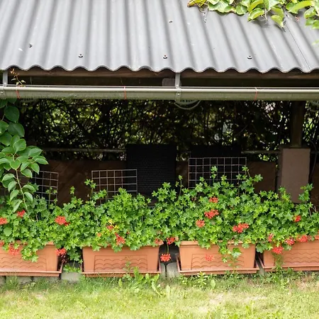 Enjoy * Sankt Kanzian am Klopeiner See